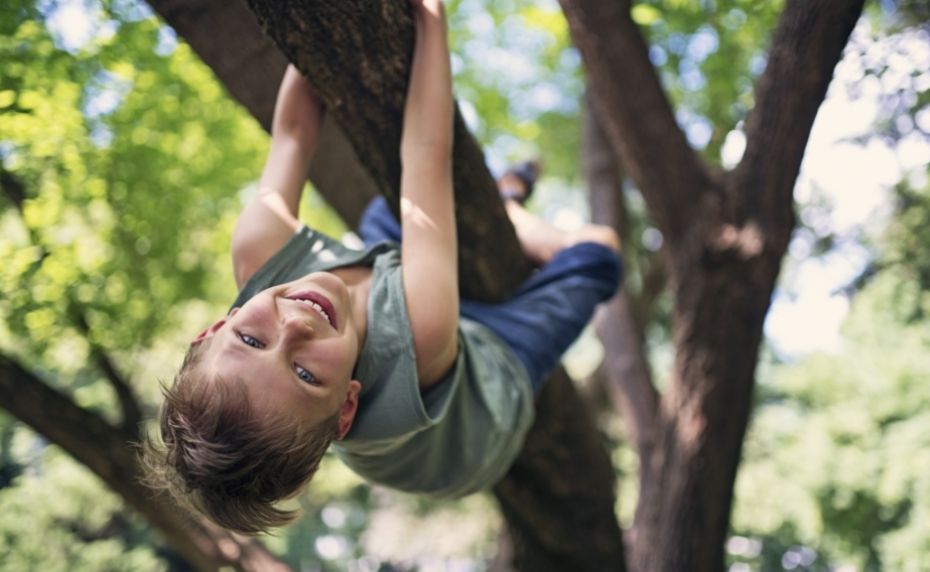 Lachendes Kind klettert auf Baum.